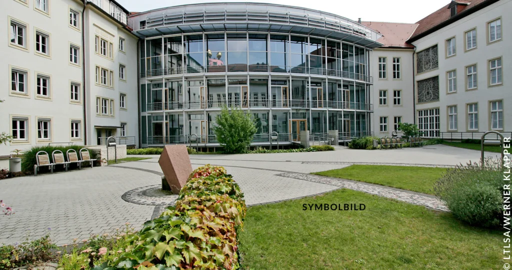 AfD Sachsen-Anhalt Landtag Symbolbild