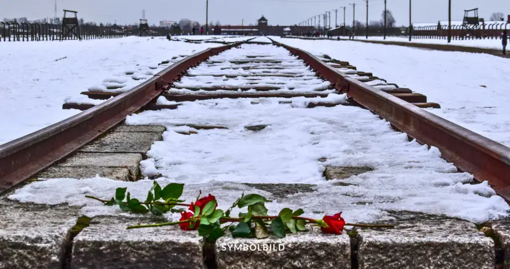 Das Bild zeigt die Gleise vor dem Konzentrationslager Auschwitz. Die Gleise sind mit Schnee bedeckt, und im Vordergrund liegt eine rote Rose auf den Schienen, die an die Opfer des Holocausts erinnert. Im Hintergrund sind Wachtürme und Zäune des Lagers zu sehen, die die düstere Geschichte dieses Ortes unterstreichen. Symbolbild: 80. Jahrestag der Befreiung von Auschwitz