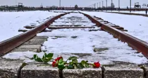 80. Jahrestag der Befreiung von Auschwitz